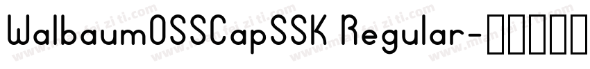 WalbaumOSSCapSSK Regular字体转换